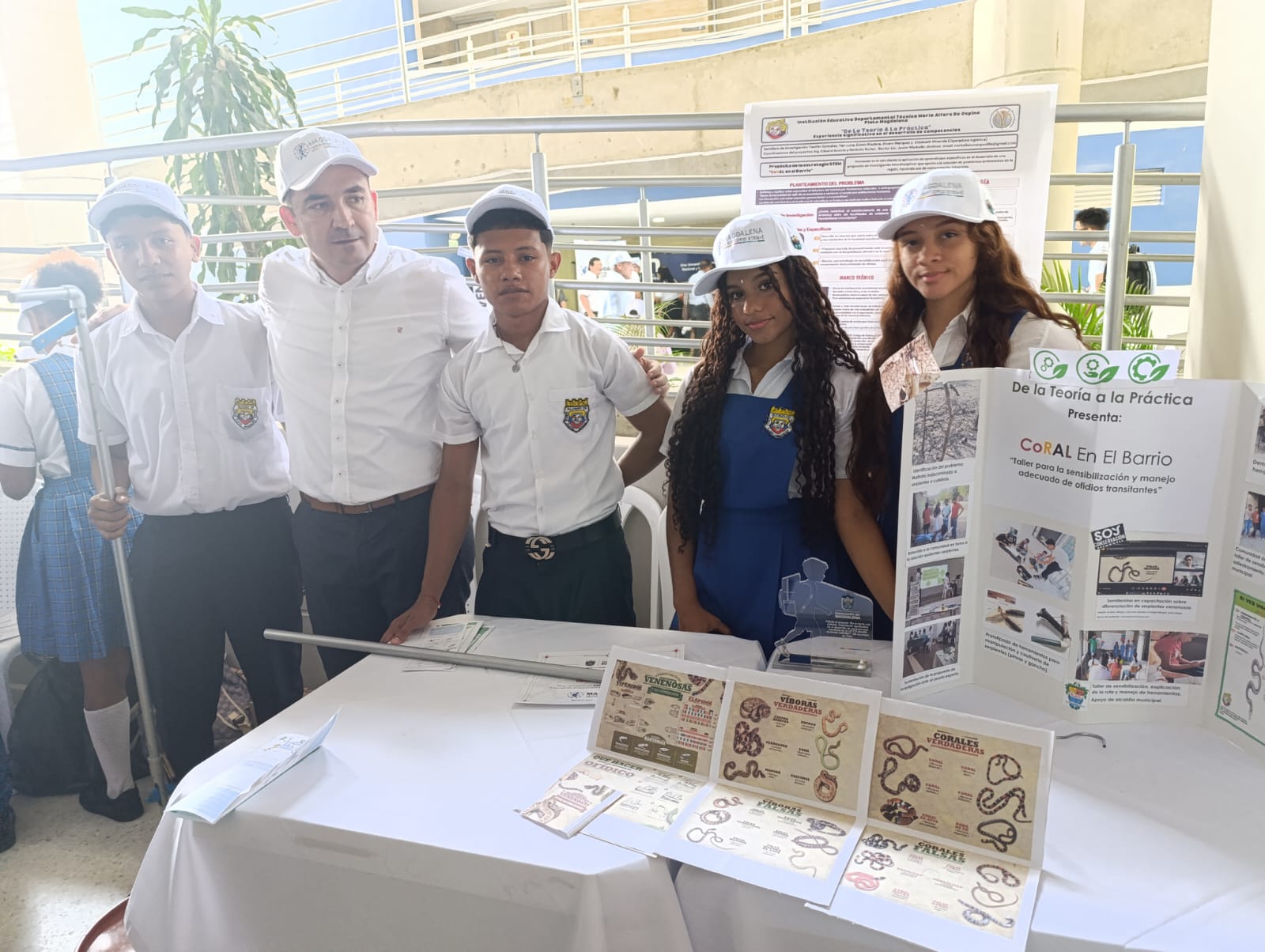 STEM 2024 IMAOS