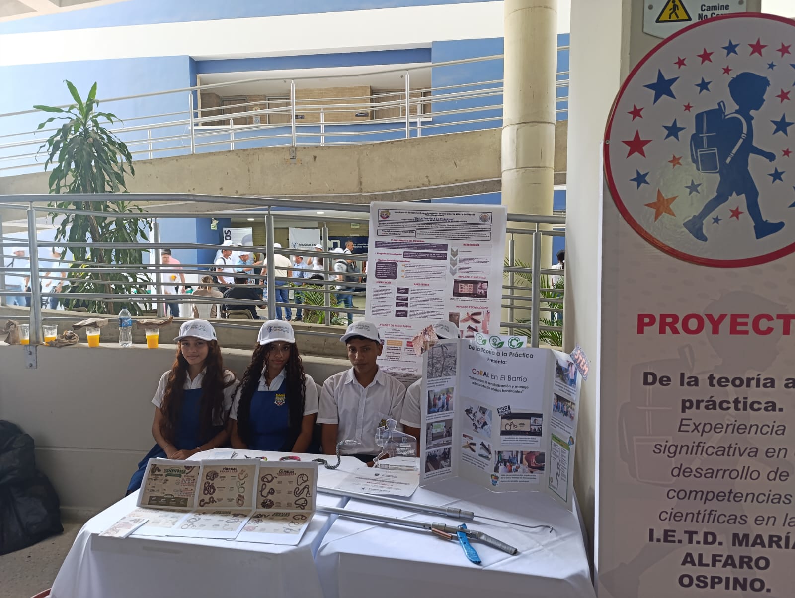 STEM 2024 IMAOS